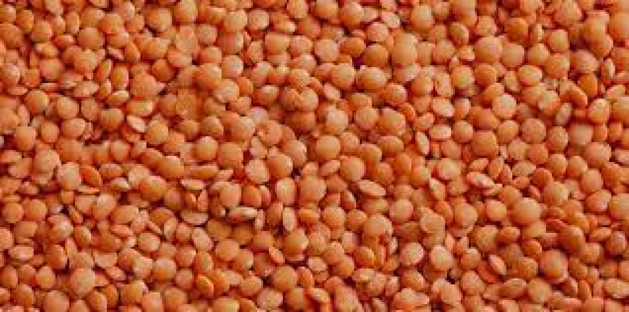 lenticchia rossa decorticata